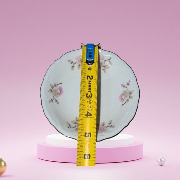 Mitterteich 1949-1960 Vintage 5 1/8" Springtime Ice Cream Dessert Bowl Set - Picture 3 of 4